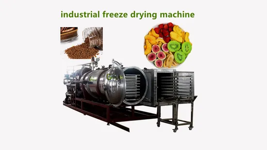 Factory Food Milk Powder Pharmaceutical Medical Vacuum Lab Lyophilizer Industrial Freeze Dryer Machine Drying Equipment for Sale 
