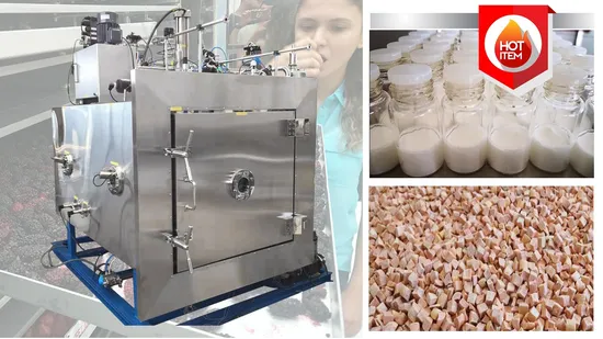 10.5m2 100L/Batch Vacuum Freeze Dryer Equipment Pharmaceutica Medical Freeze Dryer Equipment 